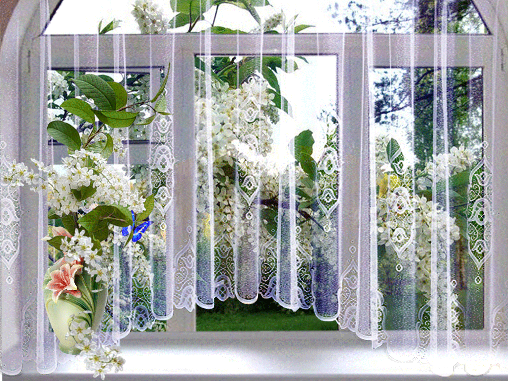 Window gif. Анимация окно открывается. Прозрачные окна для цветов. Анимационная Весна в окошко. Мерцающие занавески.